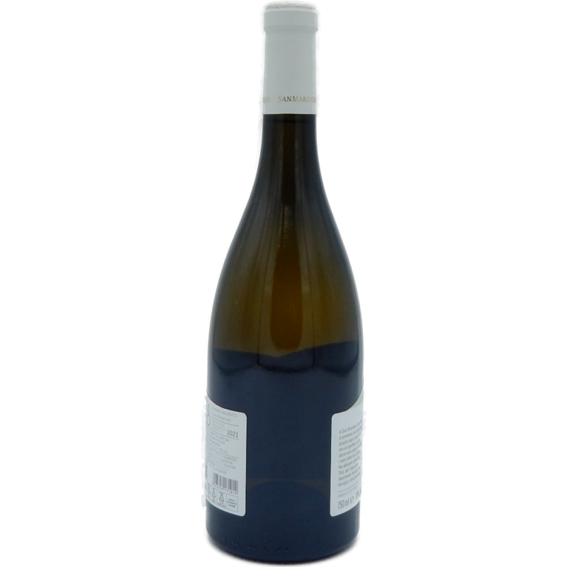 SAN MARZANO TALO' FIANO IGT - immagine 2